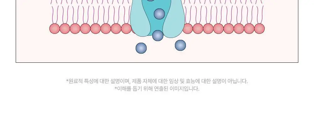 [잡티미백/톤업]비건이펙트 비타씨 글루타치온 미스트 100ml 상세페이지 35
